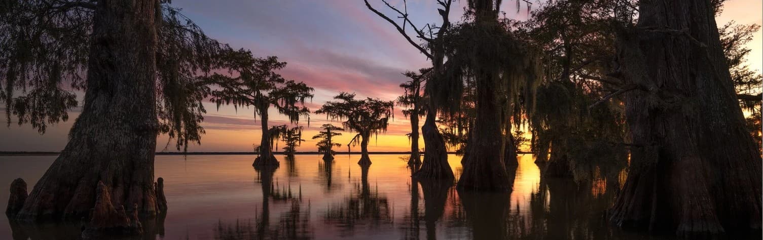 Louisiana bayou